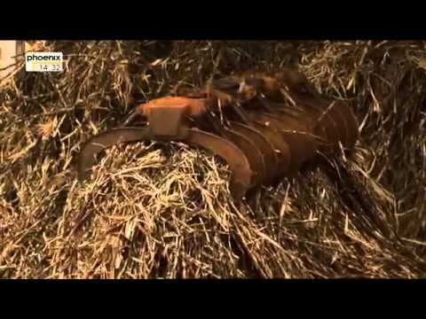 Südamerika - Auf verwehten Spuren - Amerikanischen Doppelkontinente - Teil 2