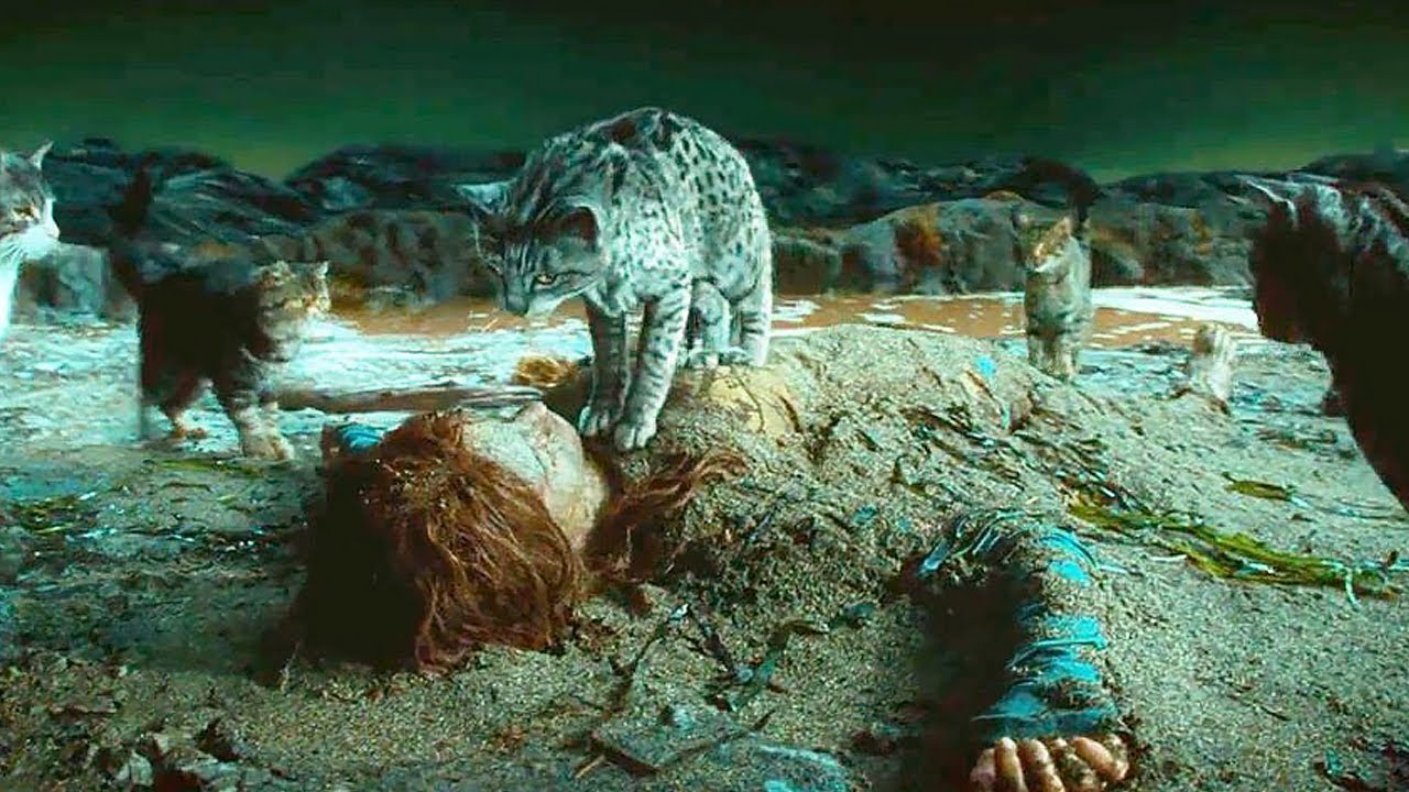 A Cat Saves a Girl & Makes Her The Queen of Cats, Giving Her Incredible Powers!