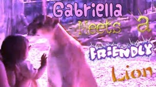 preview picture of video 'Gabriella meets a friendly lion that wants a kiss @ Penn's Cave Wildlife Park'