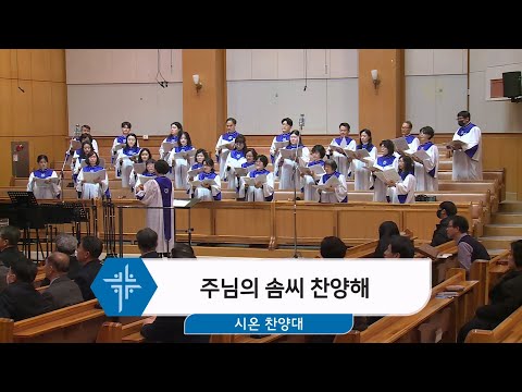 [25.01.26] 시온 찬양대 - 주님의 솜씨 찬양해 대표이미지
