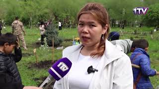 Видео
