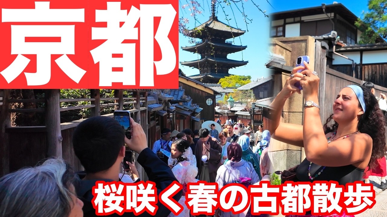 4月3日(金)春の観光シーズン真っ只中の東山界隈🌸【観光客で大賑わい】を歩く 桜咲き訪日外国人観光客が増加する京都 kyoto walk