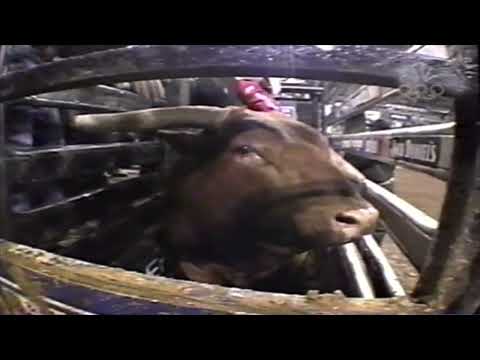 Little Yellow Jacket bucks Cory McFadden - 05 PBR CO Springs