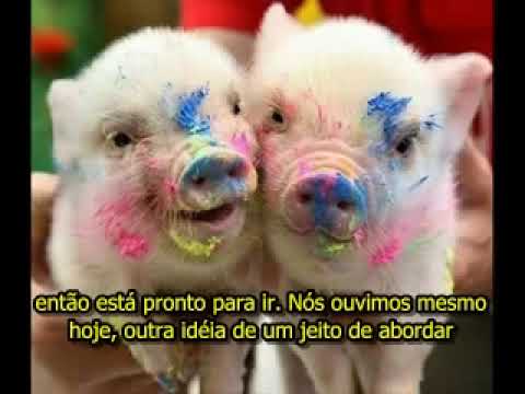 Abraham Hicks - Professores do Bem Estar (Sinta-se bem!) 😀