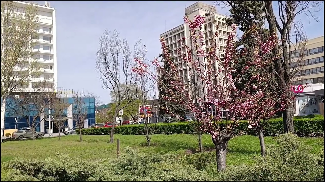 АРКА УКРАИНЫ В ЗАПОРОЖЬЕ ❤️ АПРЕЛЬ 2026 