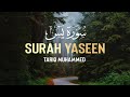 Surah Yaseen Qari Tariq Muhammed سوره یس القاری طارق محمد