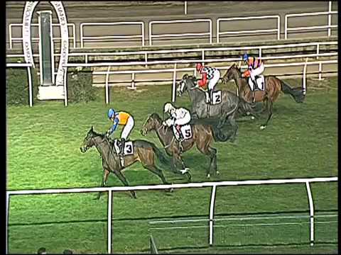 Galoppo 21/12/2016 - 4ª corsa