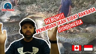 Download lagu IKAN SIDAT RAKSASA SEBERAT 1 TON - TERTANGKAP OLEH WARGA | MR Halal Reaction mp3