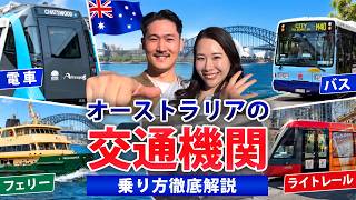 【2026年最新版】オーストラリアの交通機関を徹底解説!🇦🇺