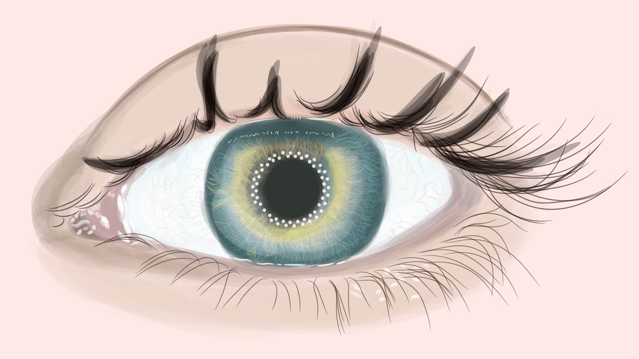 How to create realistic vector eye illustrations in adobe illustrator tutorial