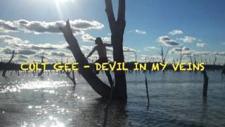 COLT GEE - DEVIL IN MY VEINS