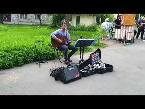 Raul Bochis - Ploaia care va veni ( Pasarea Colibri )