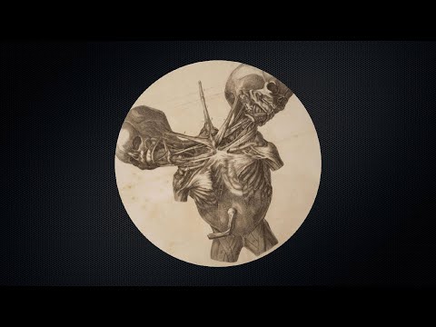 James Bott - Stuck In The Mud