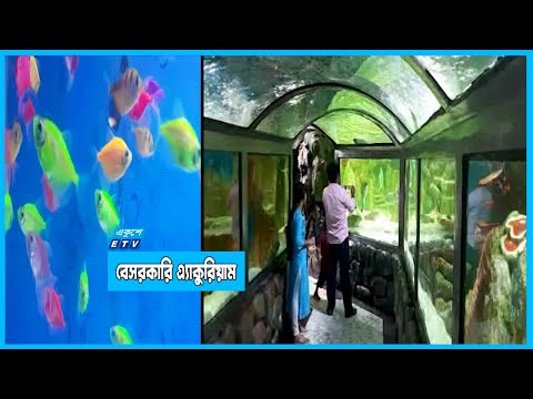 ঝাউতলায় রেডিয়েন্ট ফিসওয়ার্ল্ড