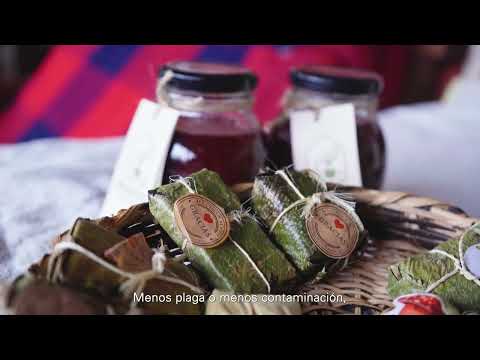 miPáramo Emprende - Paraíso Orgánico - Pamplonita, Norte de Santander