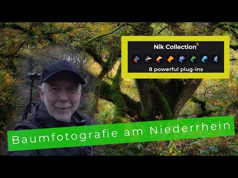 Landschaftsfotografie "on location" - Baumfotografie am Niederrhein -Fotografieren in der  Dämmerung