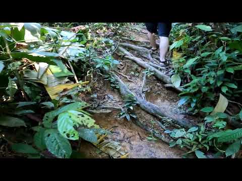 Khao Sok - Overnight Camping and Jungle Hiking Adventure - Thailand