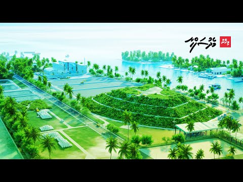 ވިހަ ދުމުން ސަލާމަތްވެ ތިލަފުއްޓަށް ފެހިކަން