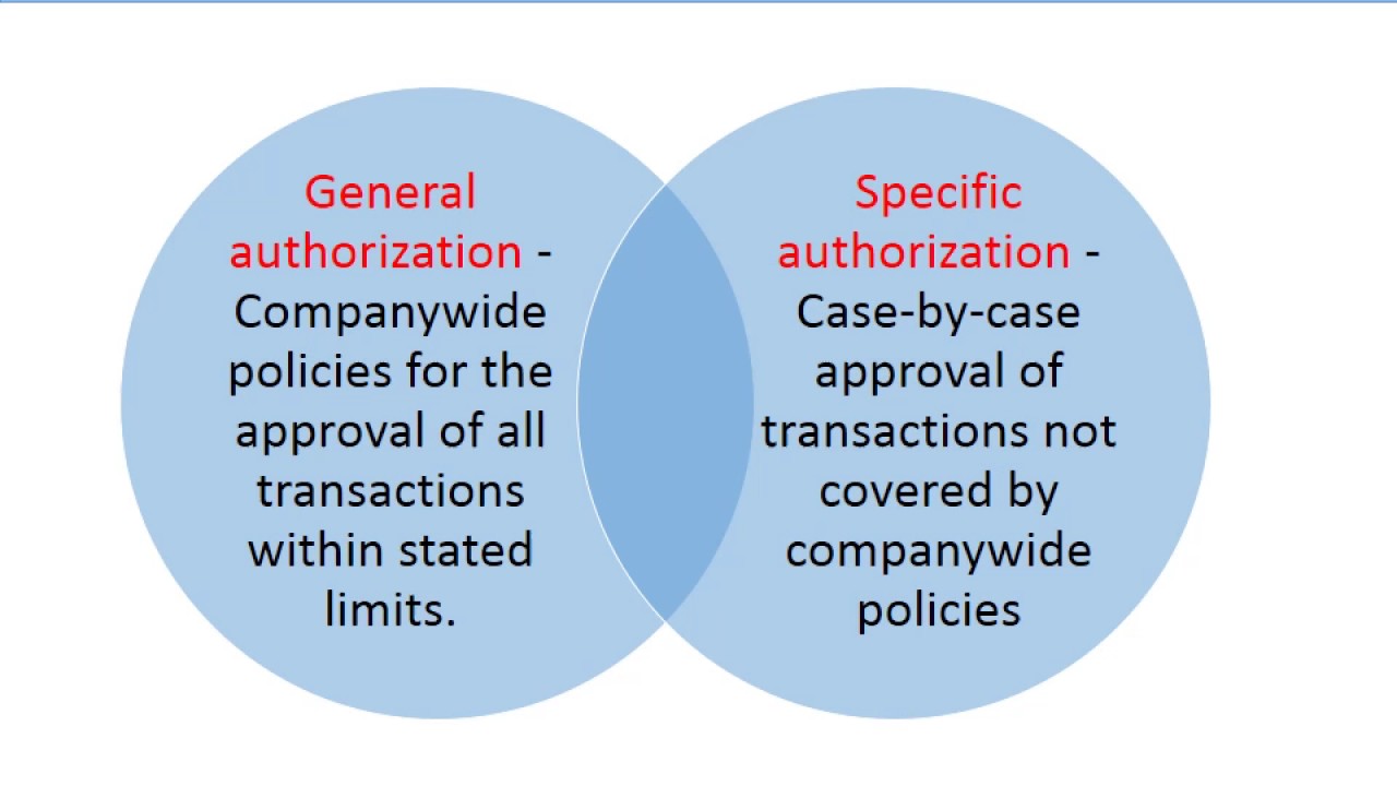 Chapter 10 :Audits of Internal Control and Control Risk