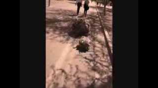 The Tumbleweed Journey