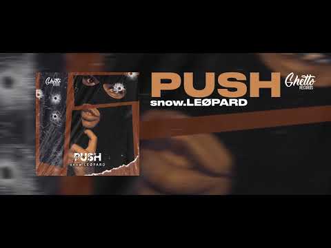 snow.LEØPARD - Push