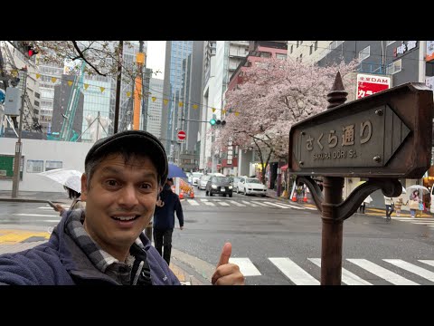 當你再次訪問時，東京會給你帶來驚喜 (Tokyo will surprise you when you visit again)