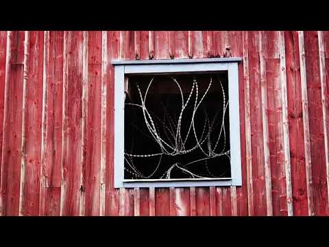 LADAN med TAGGTRÅDEN - november 2021 - BLEKINGE (Huawei P40 Pro)