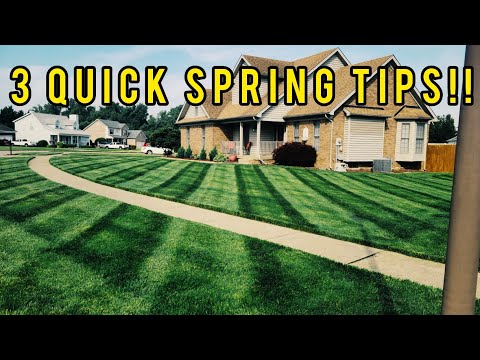 3 TIPS to get your lawn ready for the SPRING