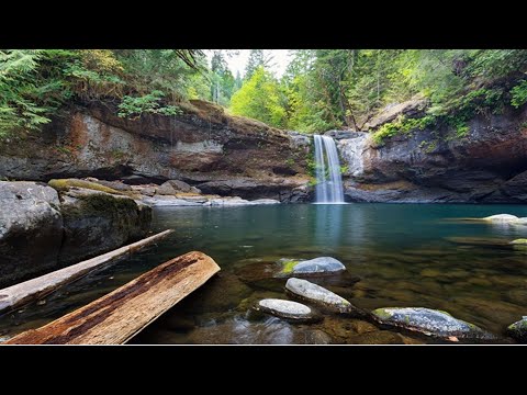 Descubra o Mundo dos Sons da Natureza #SonsNatureza