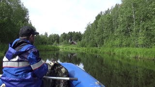 Ссылка