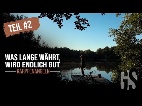 Karpfenangeln - Teil #2 - Was lange währt, wird endlich gut l Steineweiler Weiher - 2020