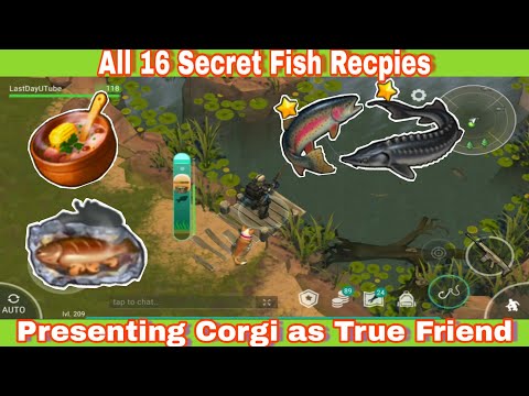 All 16 Fish Recipes (Trout)+ CORGI as True Friend - Last day on Earth Survival 1.16.4
