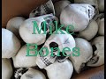 Mike Bones: The Sky Behind The Sea (2007) - FULL ALBUM