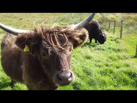 Outer Hebrides 2018 part 2.