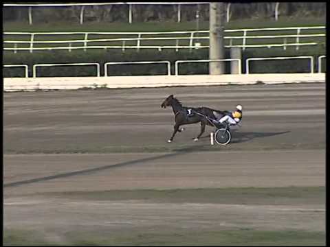 Trotto 23/11/2014 - 2° prova di riqualifica