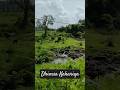 Sawan Ko Aane Do Jaspal Singh KantiPatelWaves Shorts Nature Sawan Barish