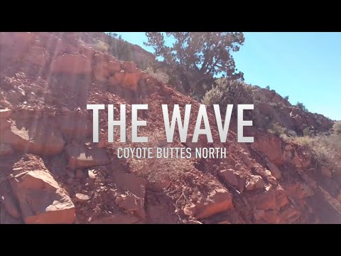 The Wave Hike