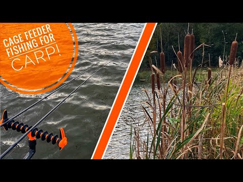 Cage Feeder Fishing For Carp !