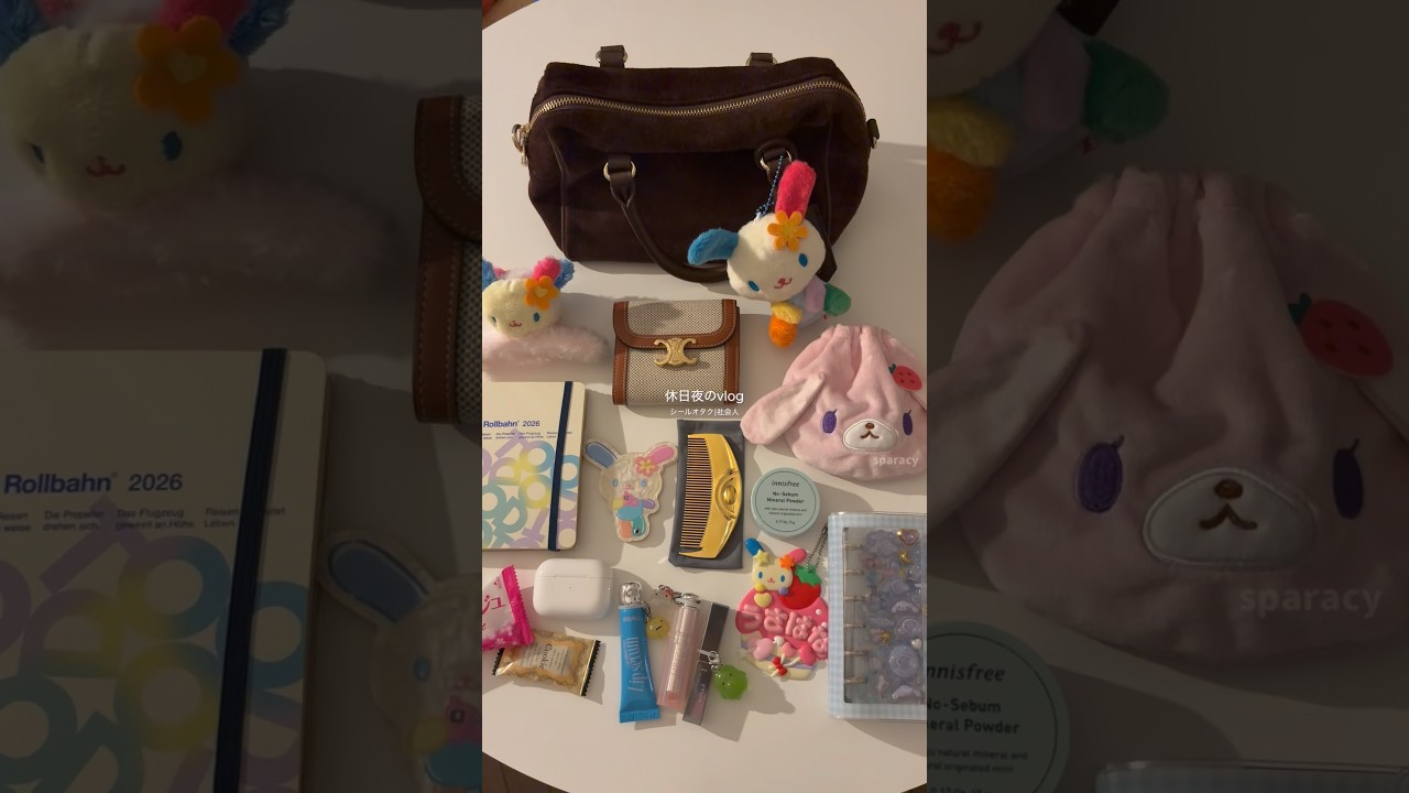 休日夜のvlog🌸🌙サンリオオタクのバッグの中身🤍#生活音#shorts