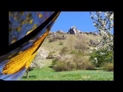 Franconian Regeneration - 60min Klangteppich aus Franken und Umgebung