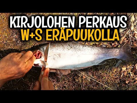 KIRJOLOHEN PERKAUS - W+S ERÄPUUKKO