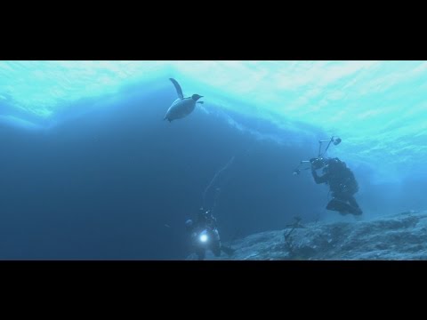 Gombessa 3 expedition - Episode 13