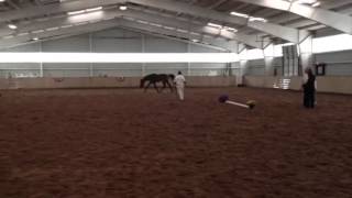 Shezashowgirl "Loose" AHS inspections 9/12/13