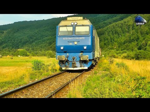 GM 64-1013-3 & Mecanic de Treaba/Nice Engineer in Defileul Crisului Repede`s Canyon - 23 July 2017