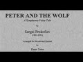 Peter And The Wolf