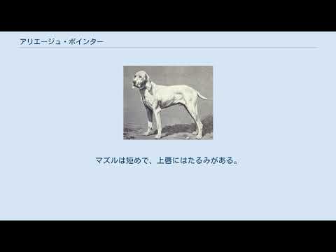 アリエージュ平原 - 定義