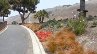 Simple Principles to Create a Story with Your Garden Design