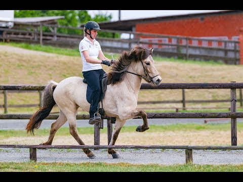 FIZO Kronshof 2019: Lyfting vom Kronshof