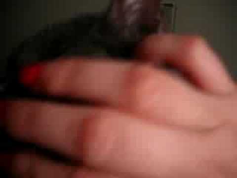 In Memory of Ike, my best friend. 1987 - 2007