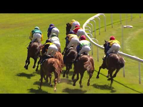 BA 24.06.2017 - Dostihy 2 - Cena Volkswagen Amarok